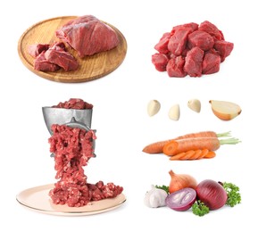 Image of Manual meat grinder with mince beef and different products isolated on white, set