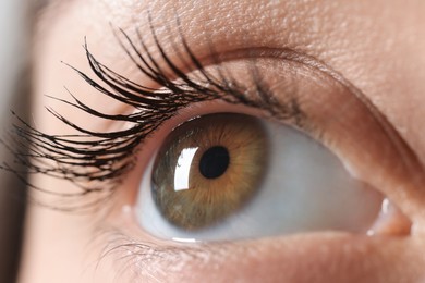 Photo of Macro photo of woman with beautiful eyes