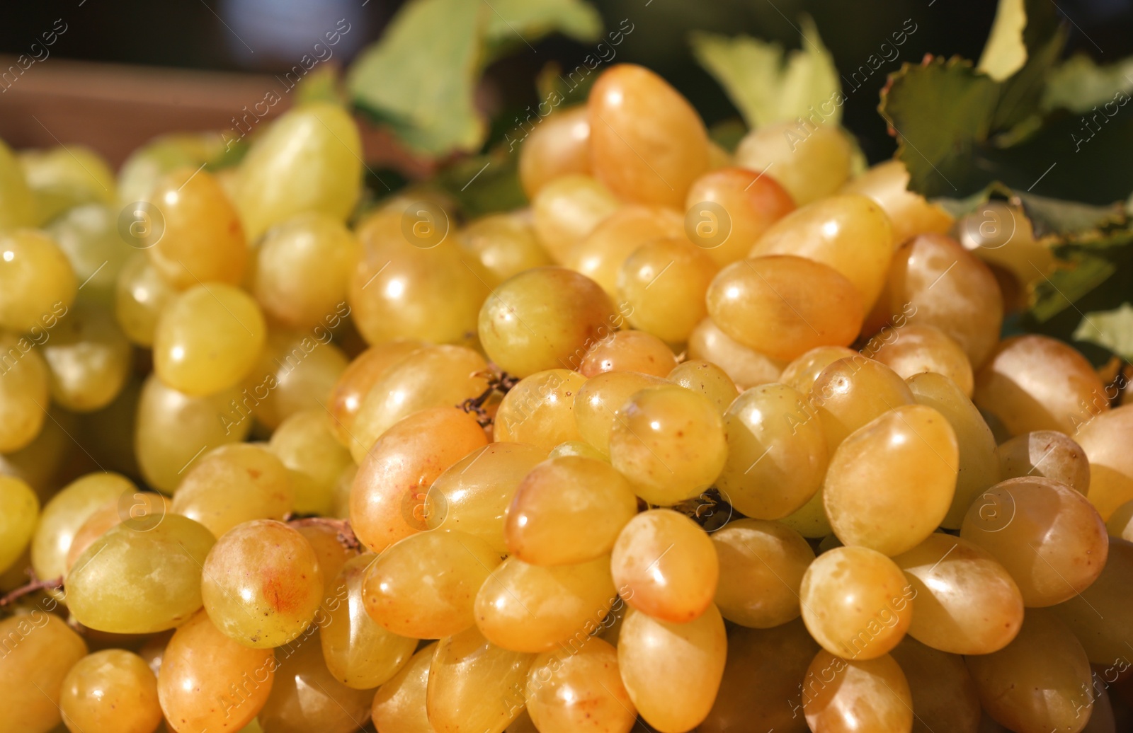 Photo of Fresh ripe juicy grapes as background, closeup