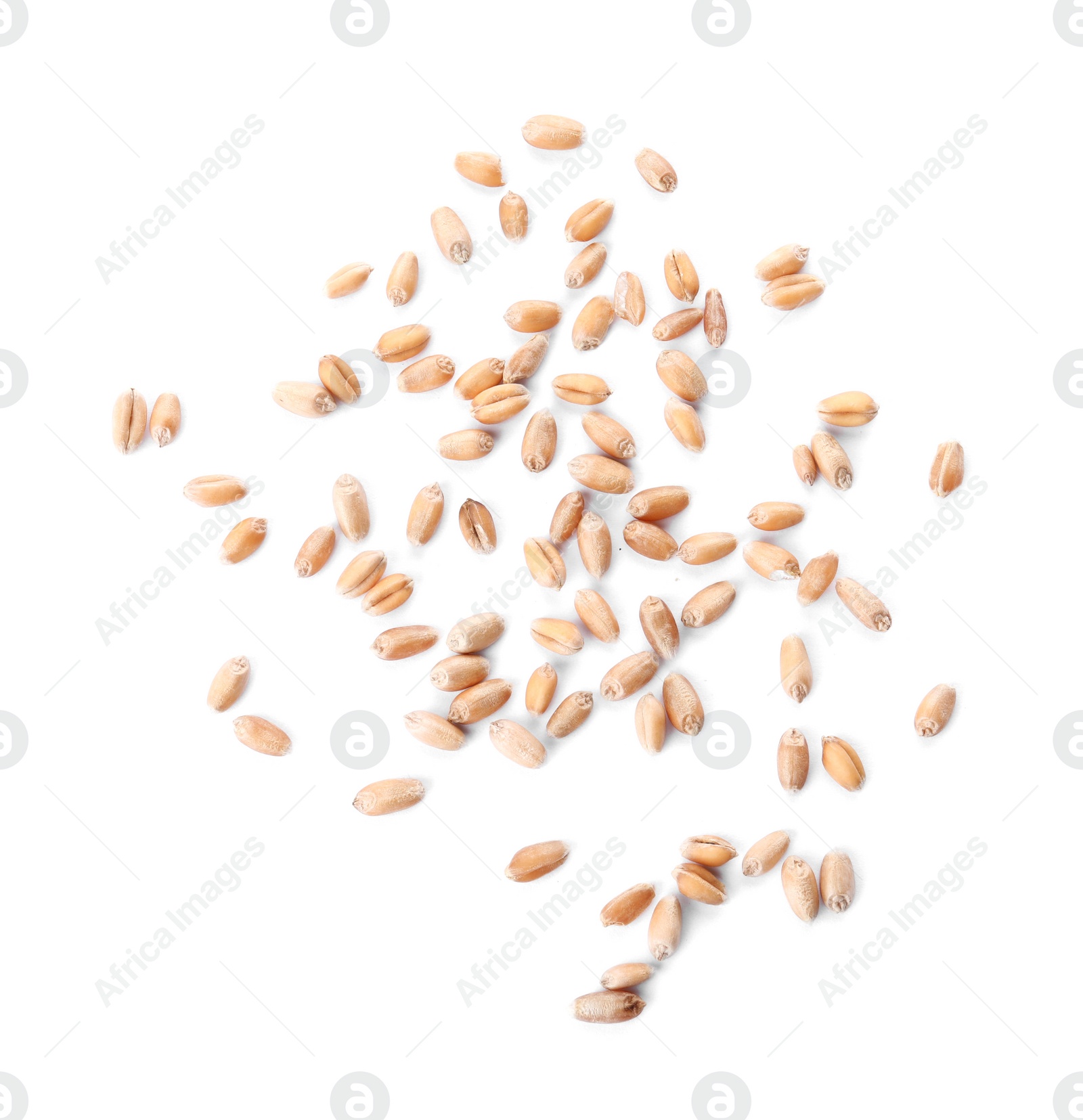 Photo of Wheat grains on white background, top view. Cereal crop