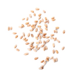 Photo of Wheat grains on white background, top view. Cereal crop