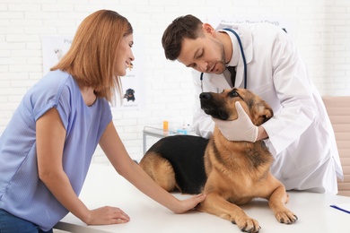 Woman with her dog visiting veterinarian in clinic