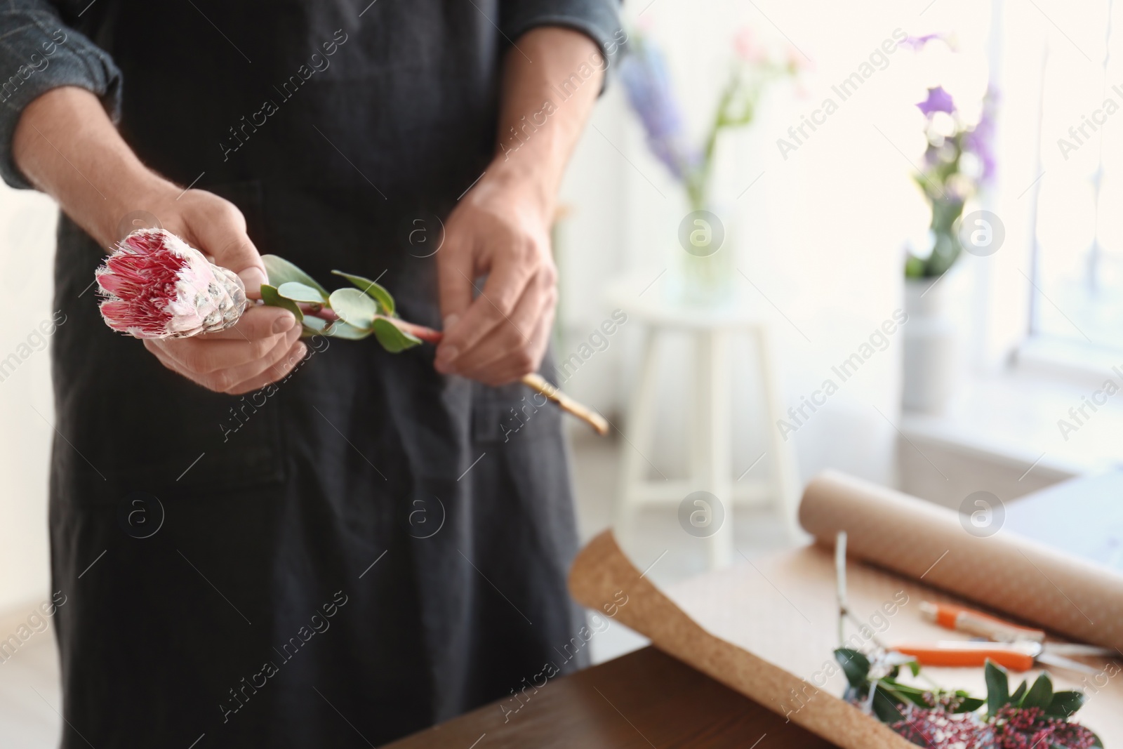 Photo of Male florist holding beautiful flower, closeup