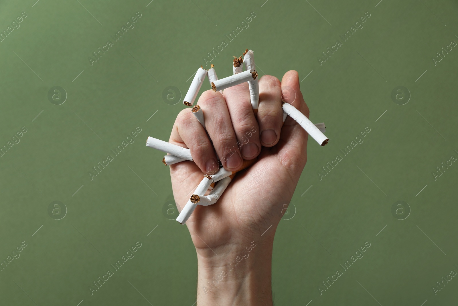 Photo of Stop smoking. Man holding broken cigarettes on olive background, closeup