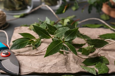 Photo of Fresh green bay leaves, secateurs and twine on grey table, closeup