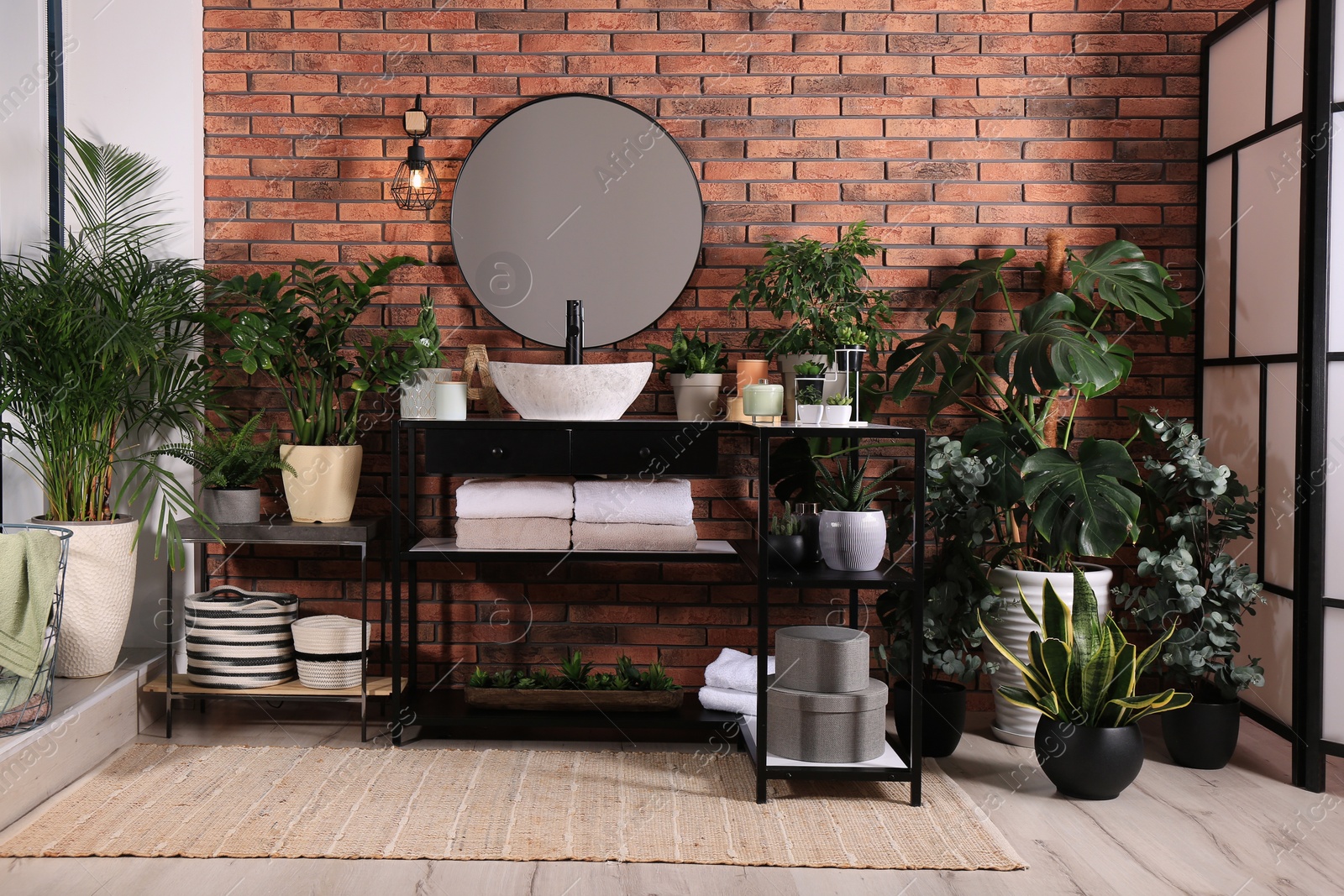 Photo of Stylish bathroom interior with modern sink, furniture and beautiful green houseplants