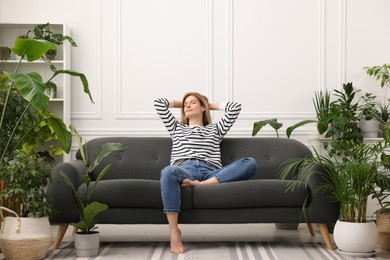 Woman relaxing on sofa surrounded by beautiful potted houseplants at home