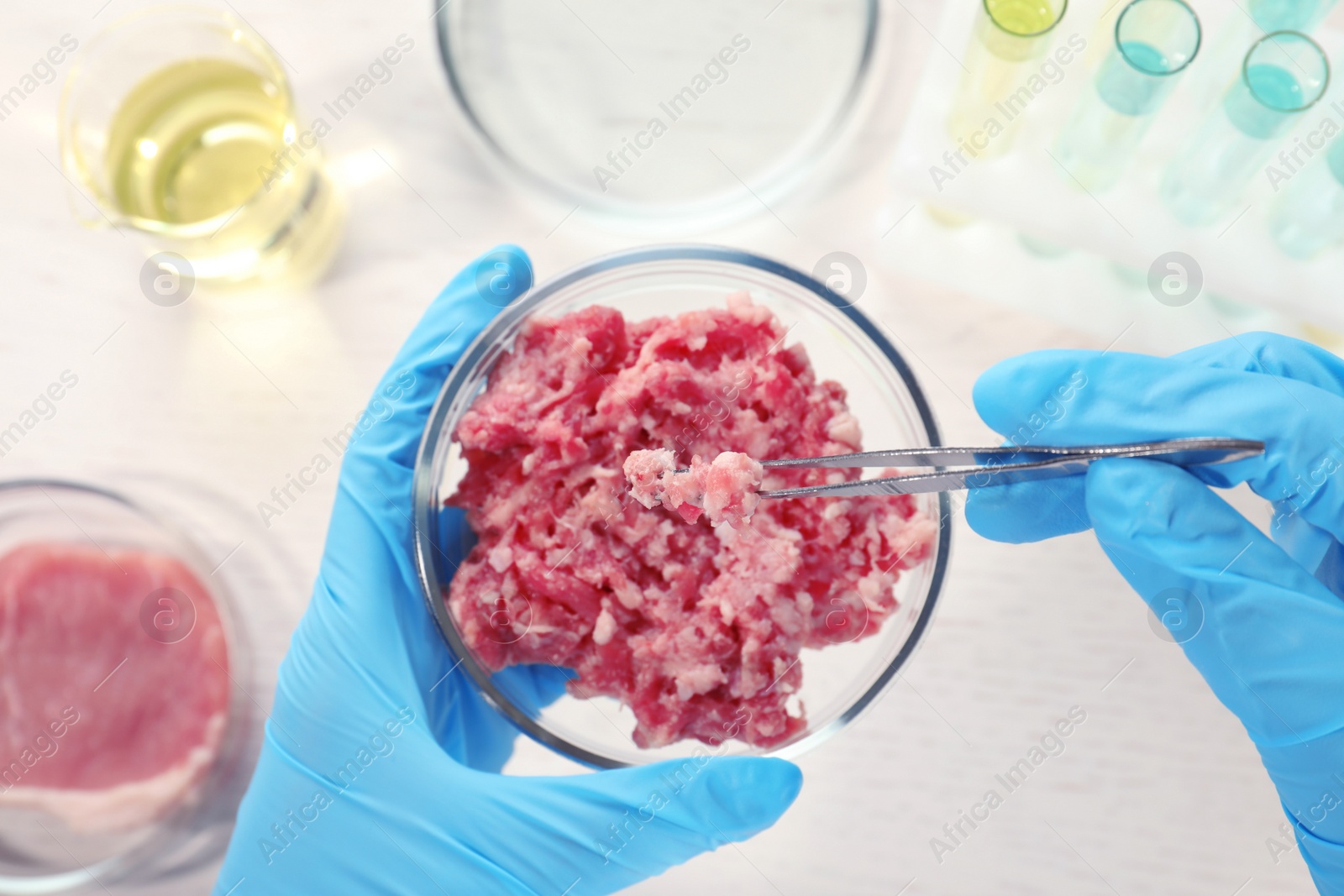 Photo of Scientist holding Petri dish with forcemeat over table, top view