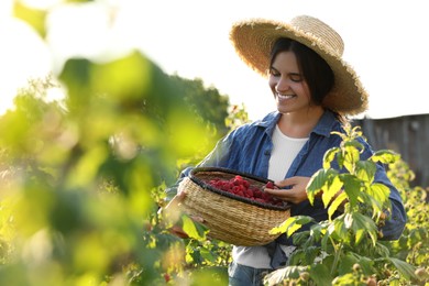 Photo of Happy woman holding wicker basket with ripe raspberries outdoors