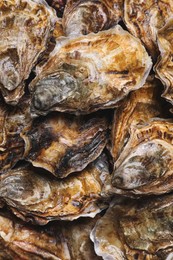 Photo of Fresh closed oysters as background, top view