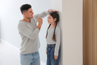 Father measuring height of his daughter near wall indoors