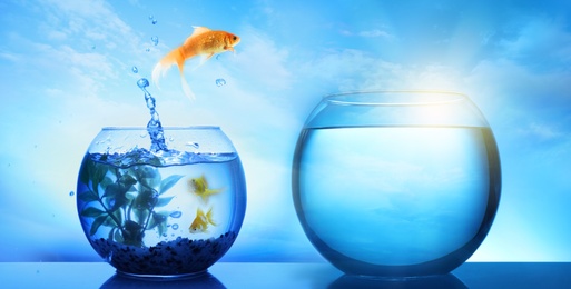 Image of Beautiful goldfish jumping out of water against blue sky 
