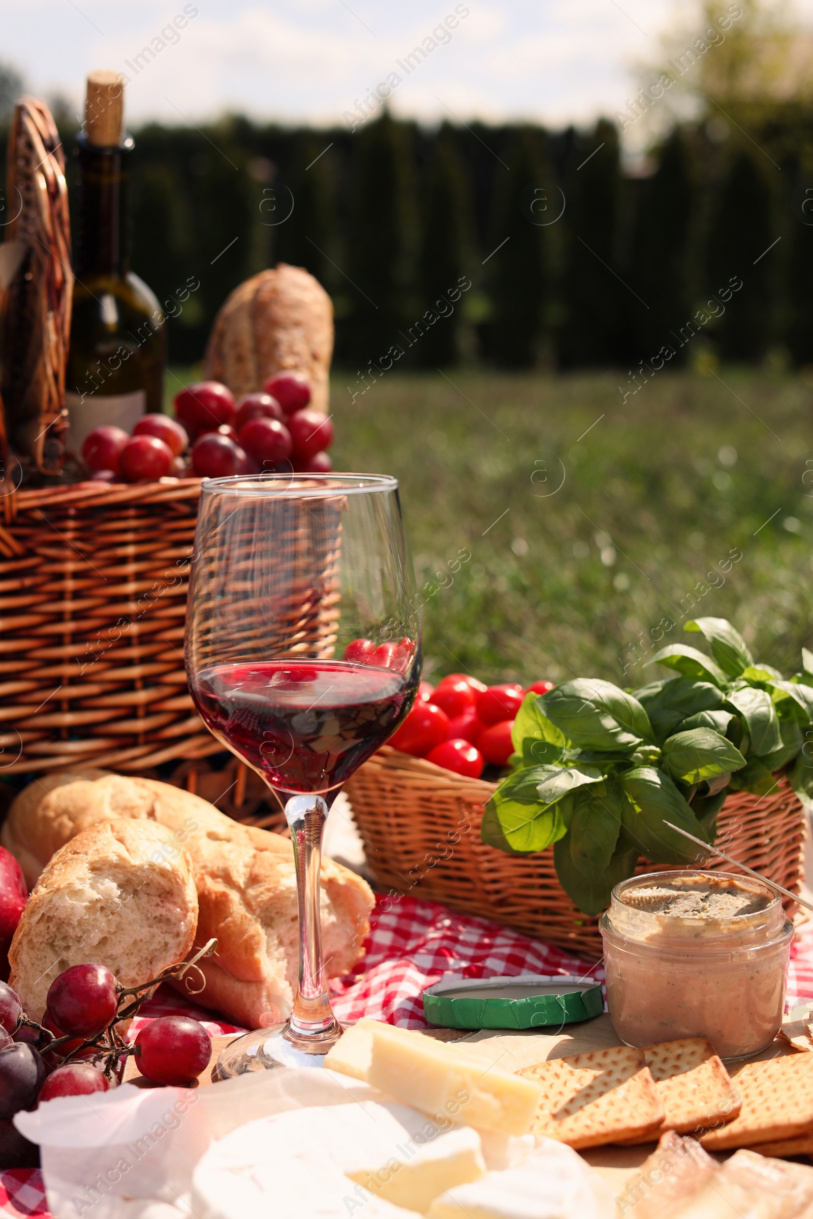 Photo of Blanket with picnic basket and different products on green grass