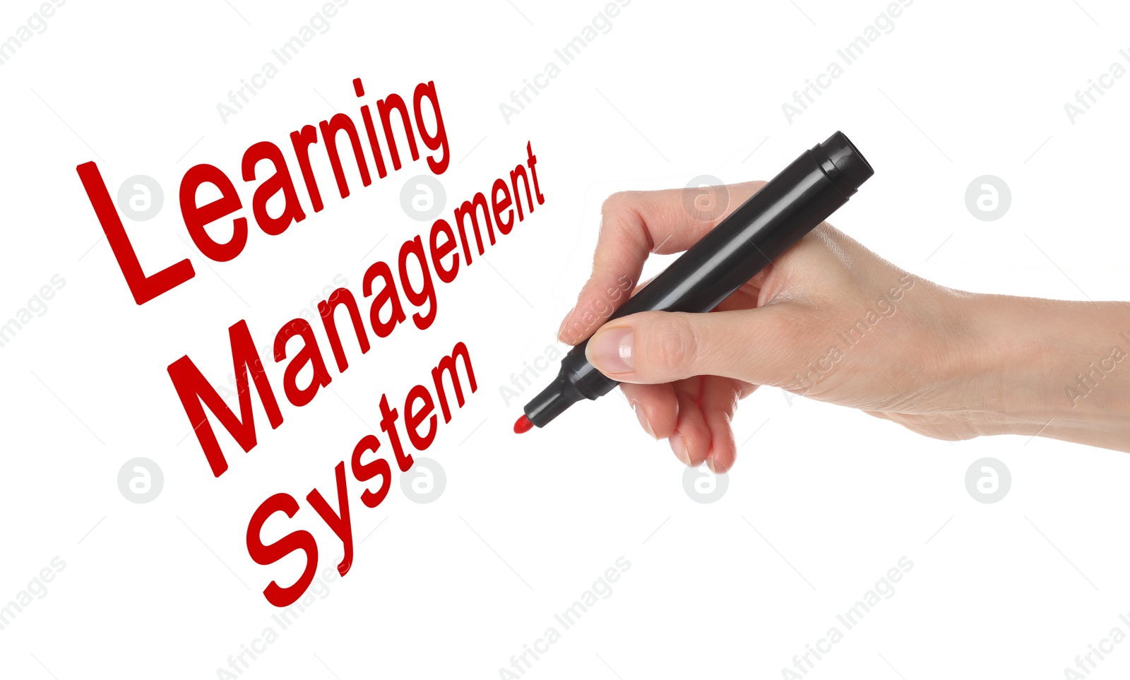Image of Woman writing Learning Management System on white board, closeup