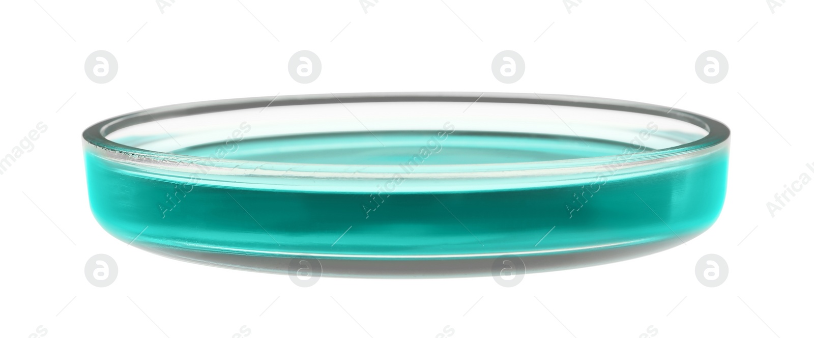 Photo of Petri dish with turquoise liquid isolated on white