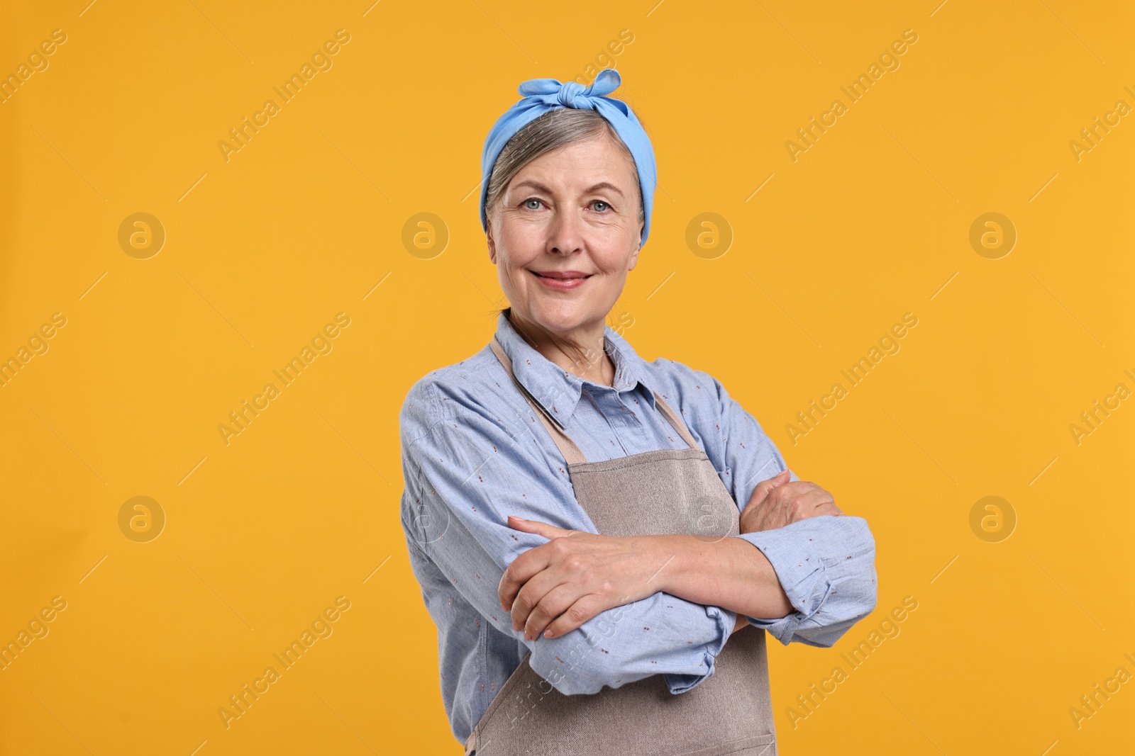 Photo of Portrait of happy housewife on orange background