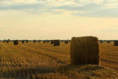 Beautiful view of agricultural field with hay bales