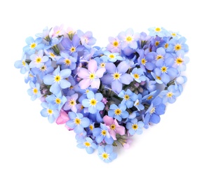 Photo of Heart made of amazing spring forget-me-not flowers on white background, top view