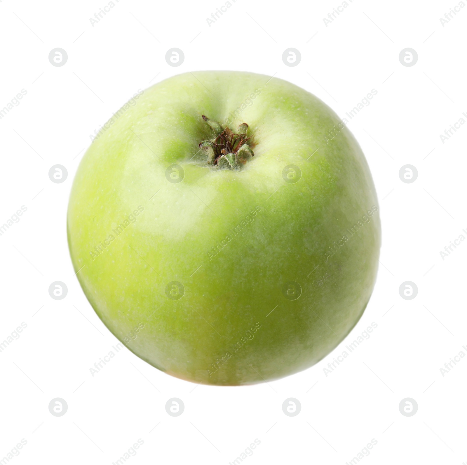 Photo of Whole ripe green apple isolated on white