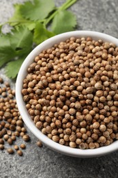 Dried coriander seeds in bowl and green leaves on gray textured table, closeup