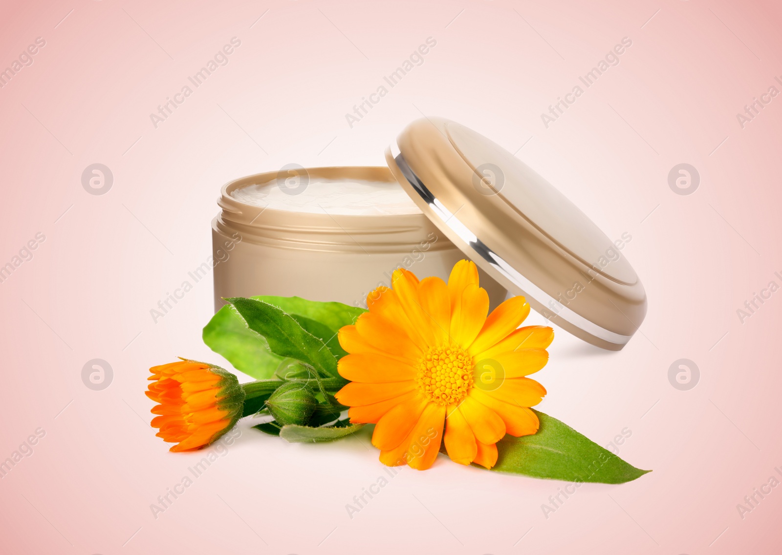 Image of Body cream with calendula extract on pink background. Natural based cosmetic product