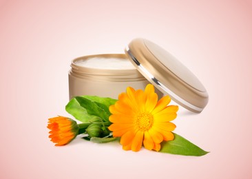 Body cream with calendula extract on pink background. Natural based cosmetic product