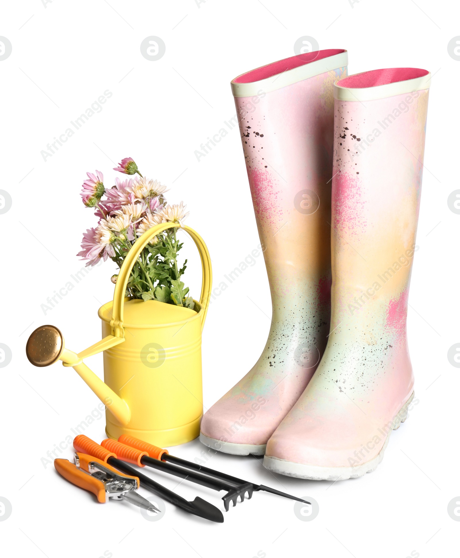 Photo of Watering can, flowers, rubber boots and gardening tools on white background