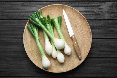 Photo of Tray with green spring onions and knife on black wooden table, top view