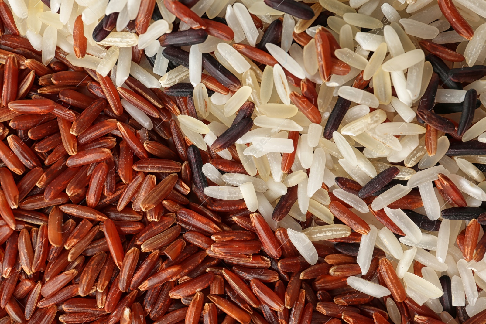 Photo of Brown and other types of rice as background, closeup