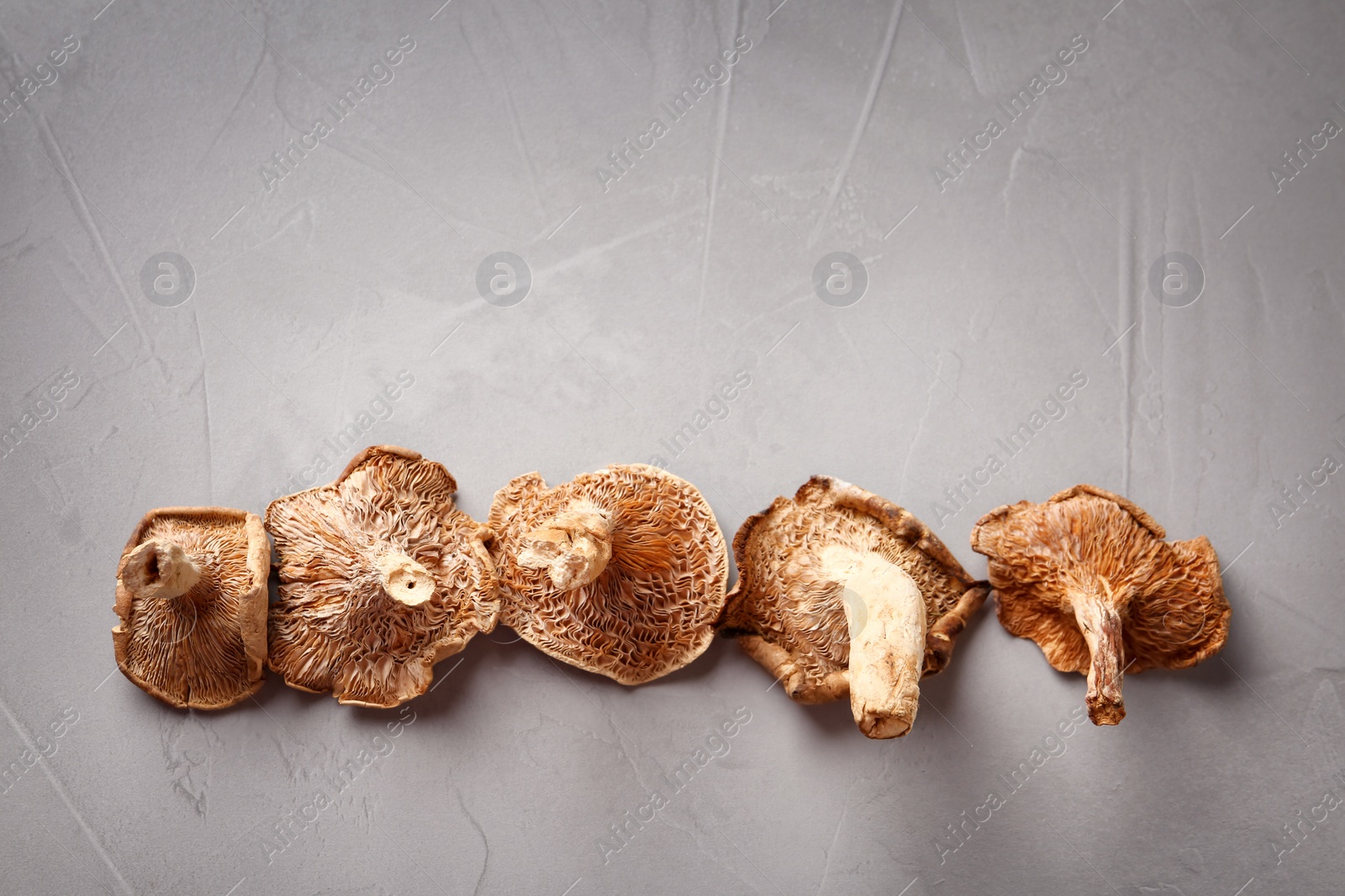 Photo of Flat lay composition of dried mushrooms on color background. Space for text