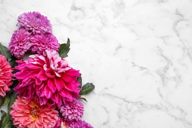 Photo of Beautiful dahlia flowers on white marble background, flat lay. Space for text
