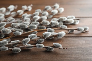 Photo of Beautiful pussy willow branches on wooden table, closeup