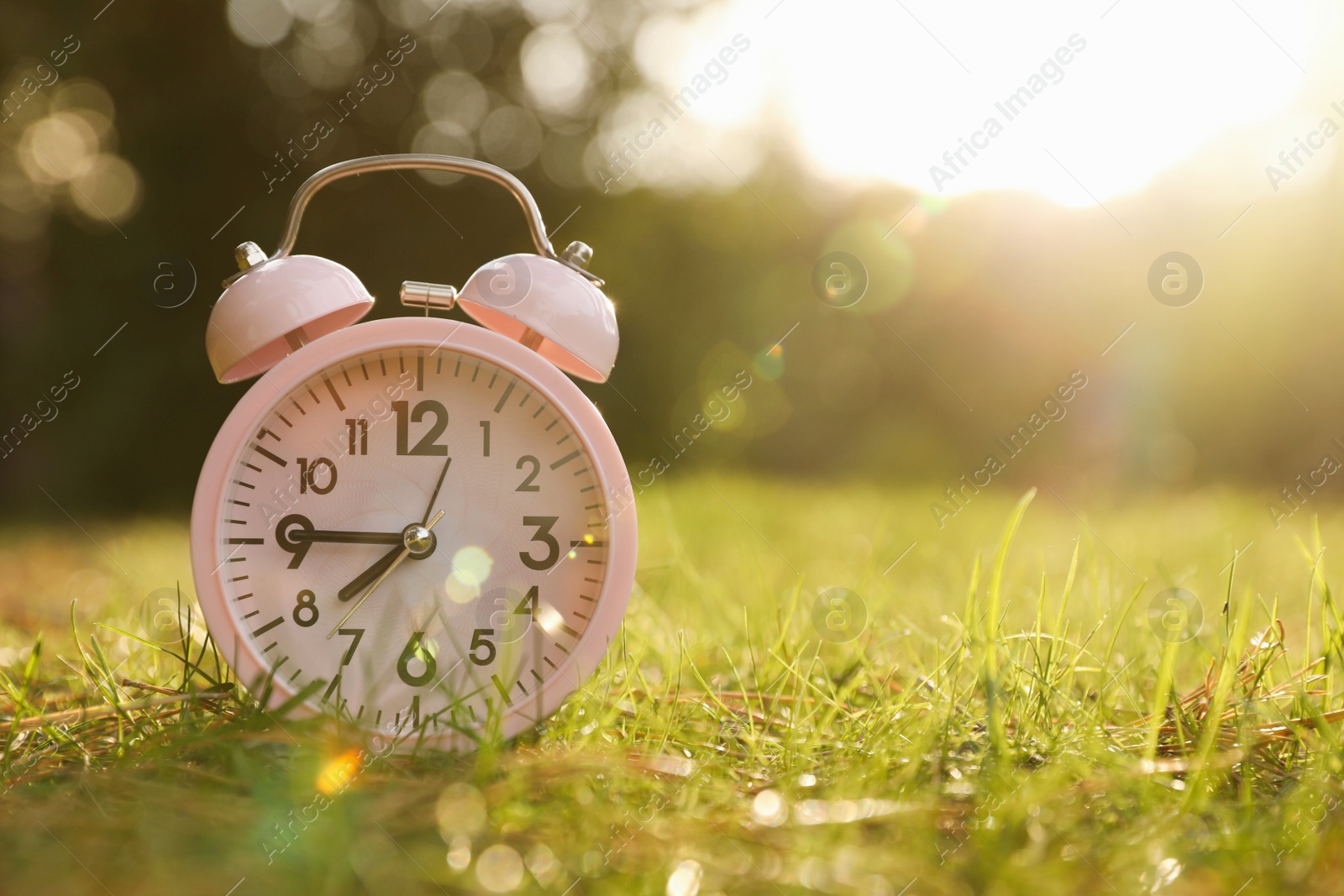 Photo of Pink alarm clock on green grass outdoors. Space for text