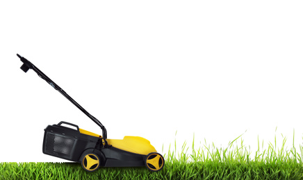 Modern garden lawn mower cutting green grass, white background