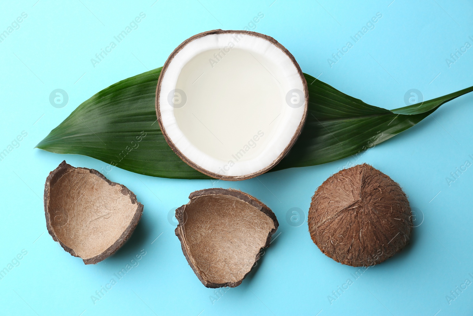 Photo of Fresh coconuts and palm leaf on light blue background, flat lay