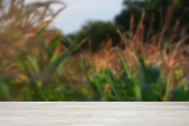 Empty wooden surface and blurred view of beautiful corn field. Space for text