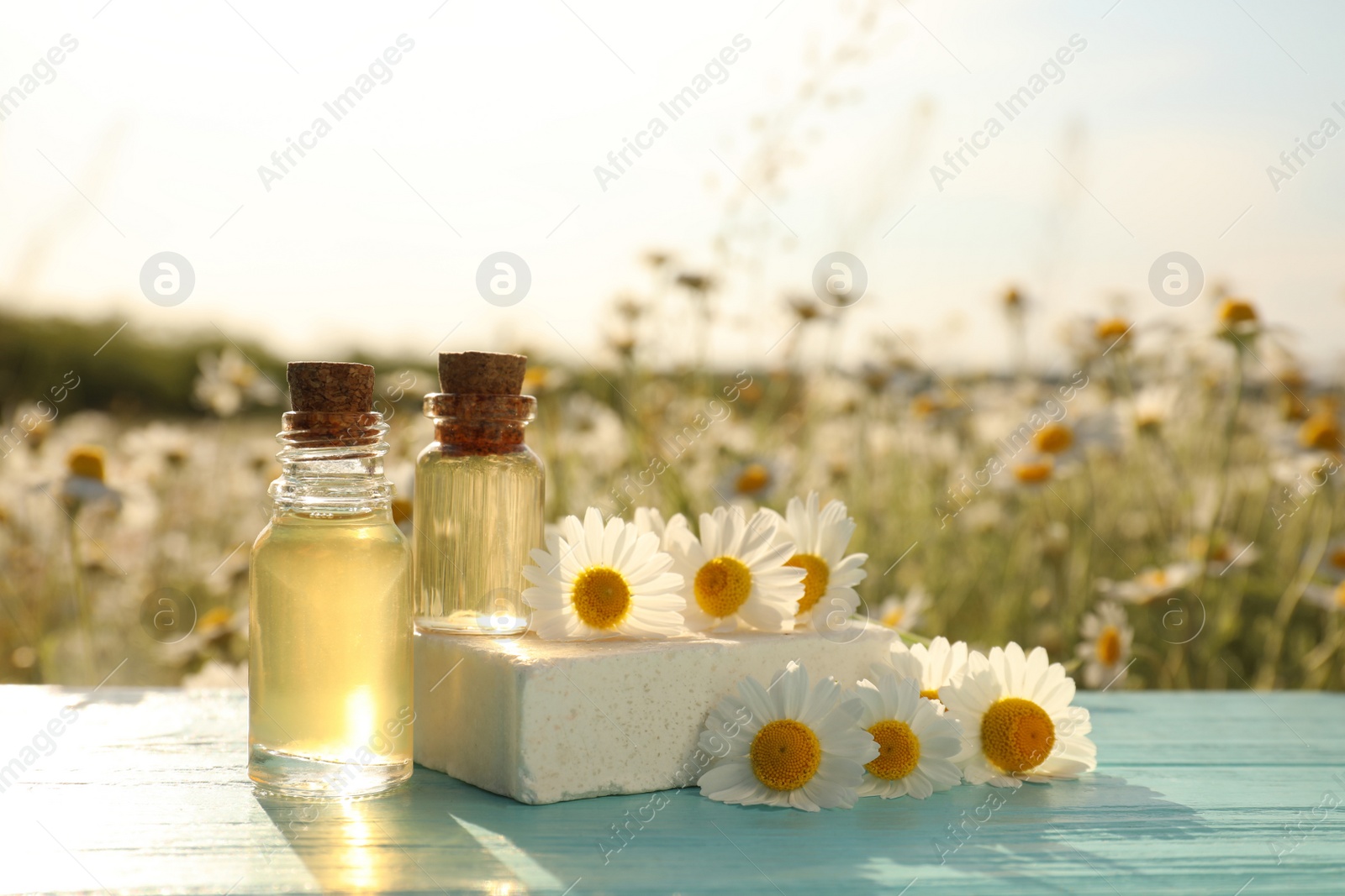 Photo of Bottles of essential oil, soap bar and fresh chamomiles on light blue wooden table in field