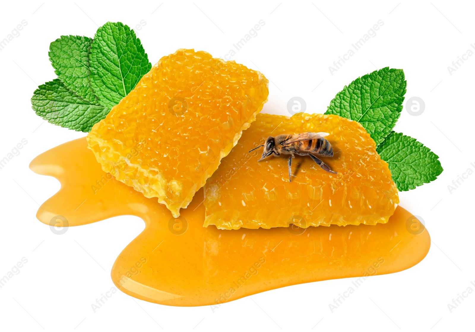 Image of Tasty honeycombs, mint and bee on white background