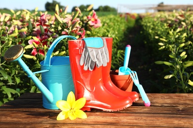 Gardening tools, rubber boots and fresh lily on wooden table in flower field