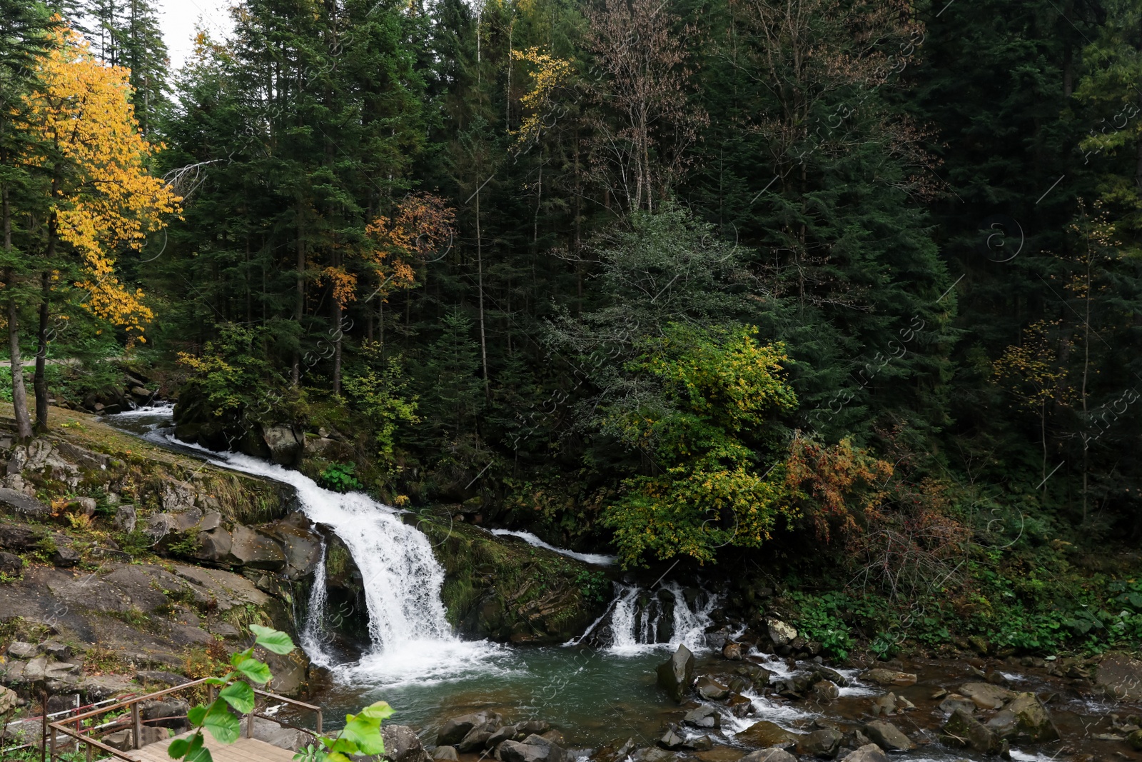 Photo of Picturesque view of beautiful stream flowing in forest