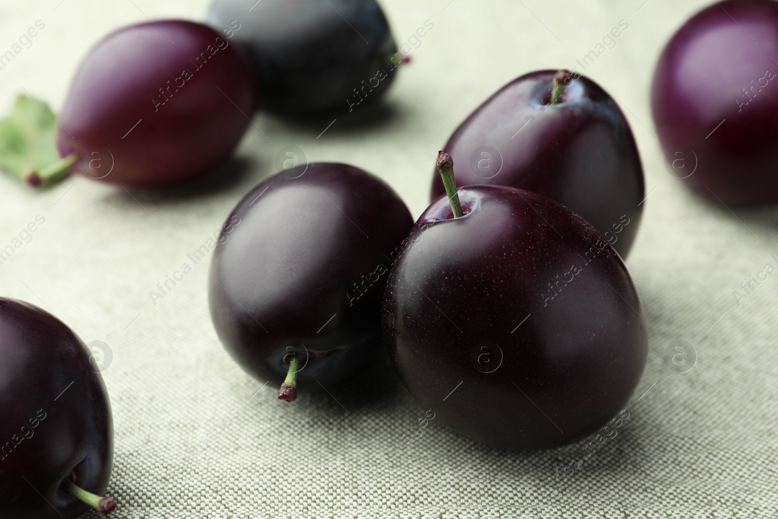Photo of Many tasty ripe plums on light fabric, closeup