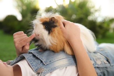 Little child with guinea pig outdoors. Lovely pet