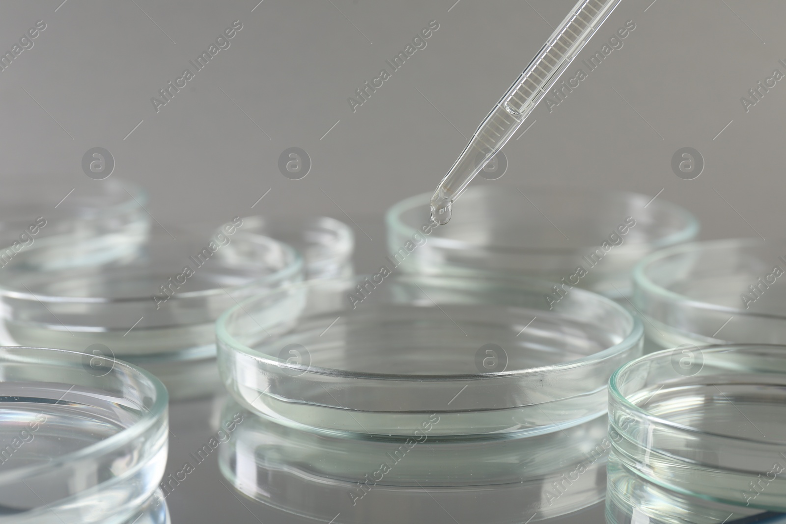 Photo of Dripping liquid from pipette into petri dish on mirror surface against grey background, closeup