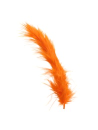 Photo of Fluffy beautiful orange feather isolated on white