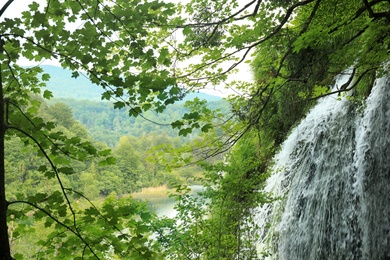 Photo of Picturesque view of beautiful waterfall in mountain forest