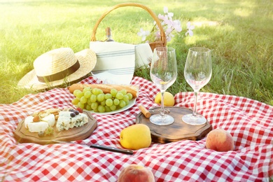 Picnic blanket with delicious food and wine in park on sunny day