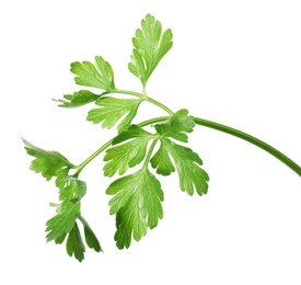 Photo of Sprig of fresh green parsley leaves isolated on white