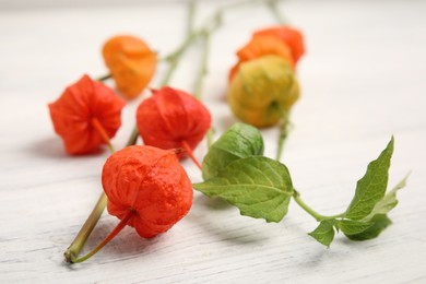 Physalis branches with colorful sepals on white wooden table, closeup