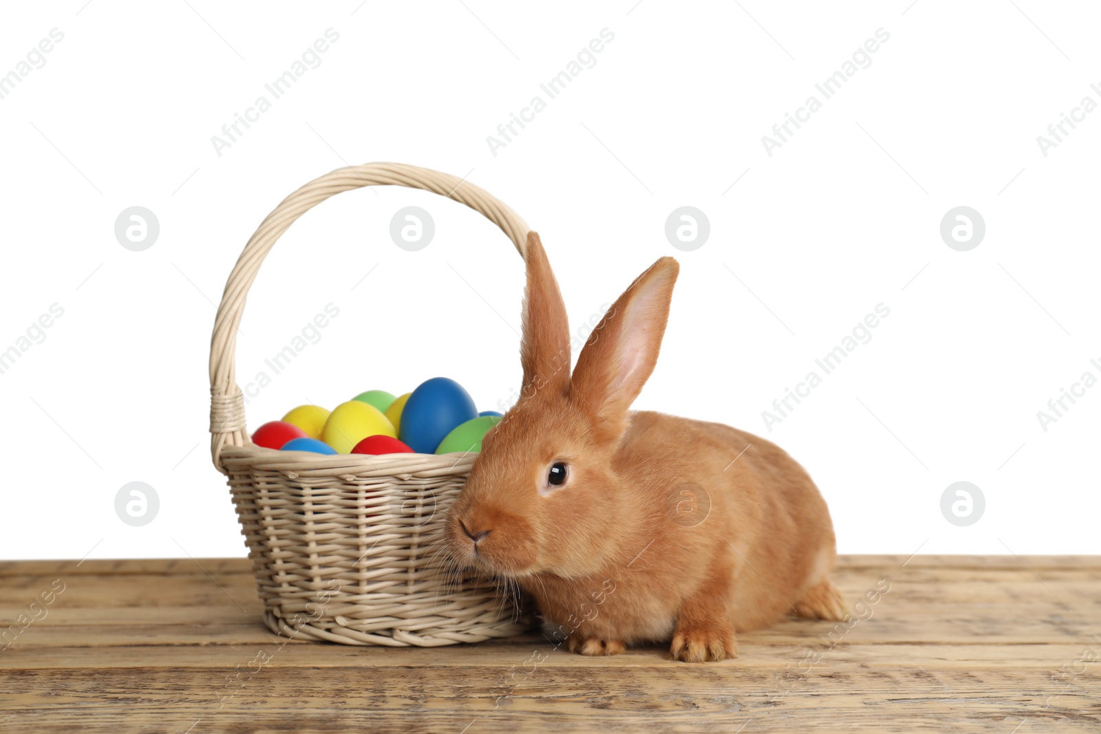 Photo of Adorable furry Easter bunny near wicker basket with dyed eggs on wooden table against white background