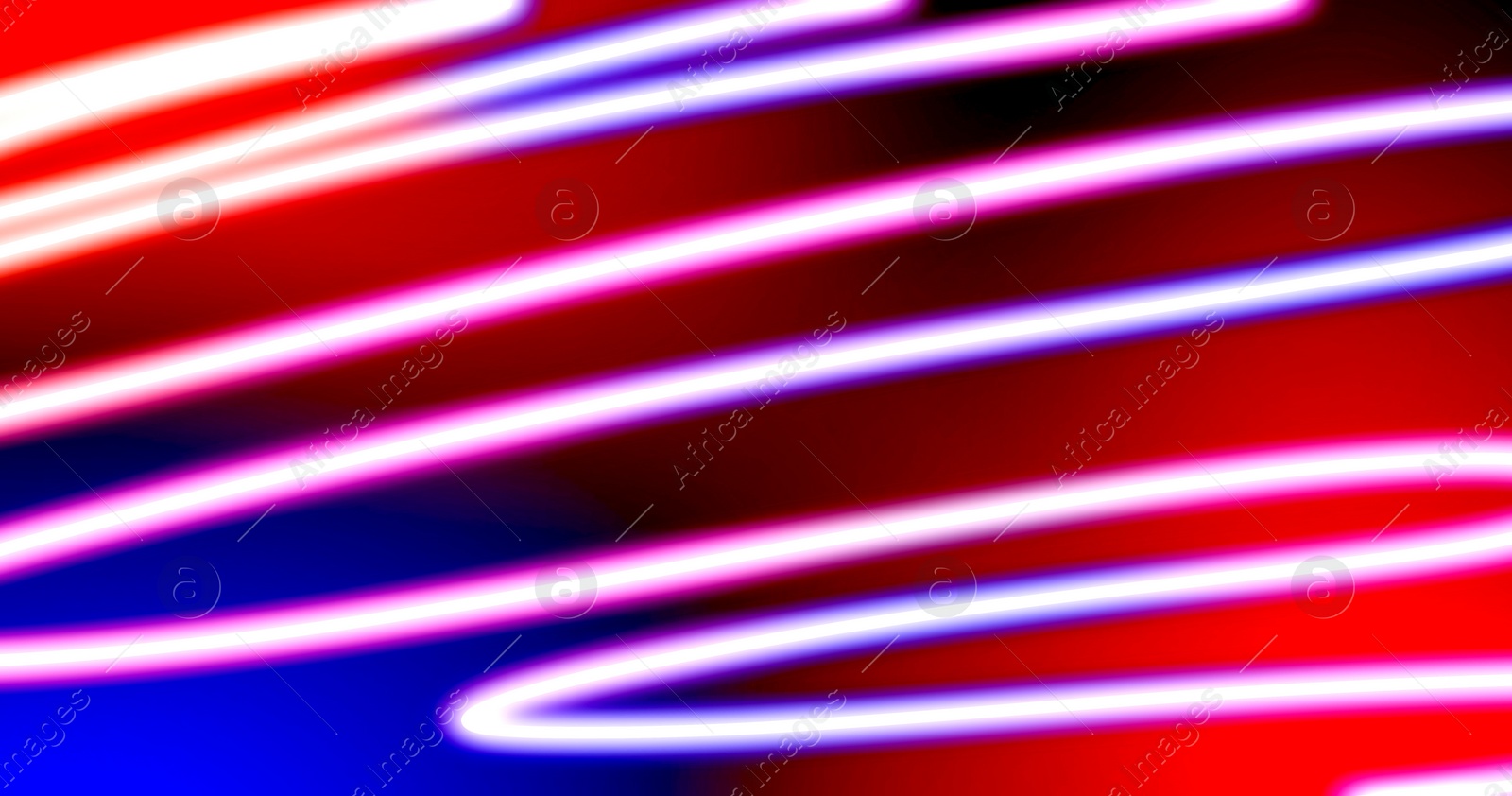 Illustration of Neon lines on colorful background. Banner design